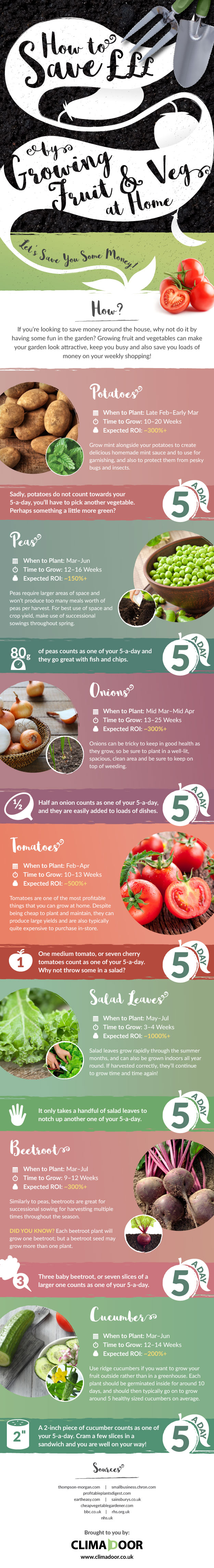 How to grow vegetables at home infographic