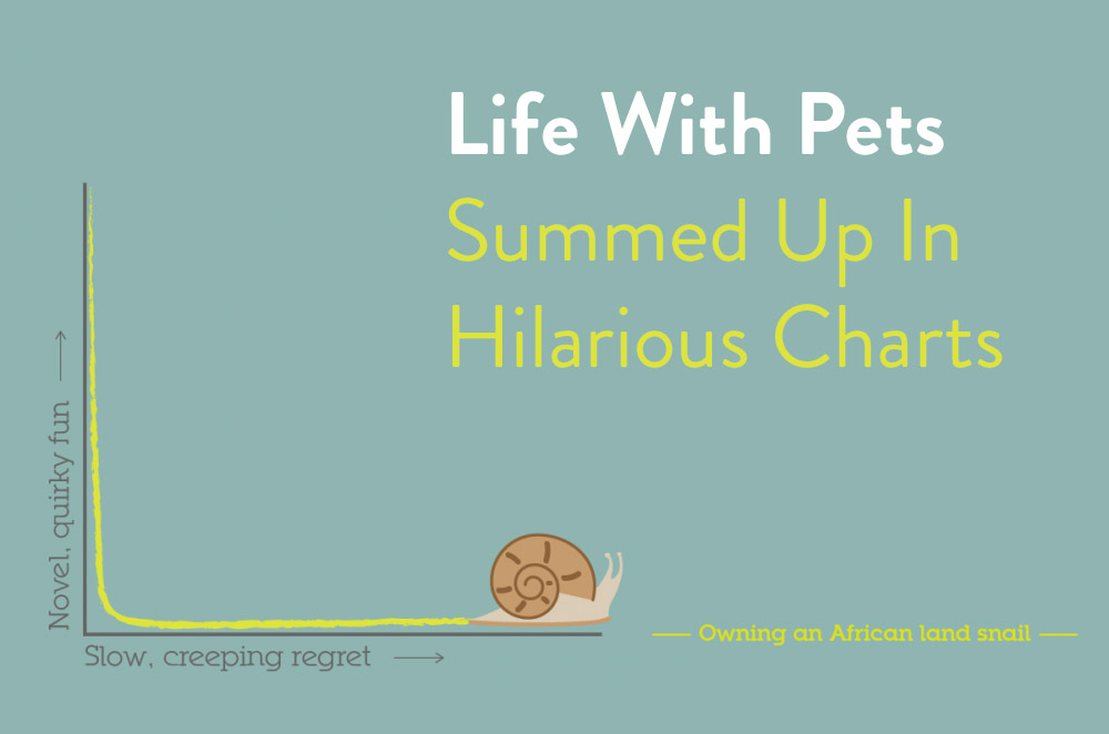 Life With Pets Summed Up in Hilarious Charts - Climadoor