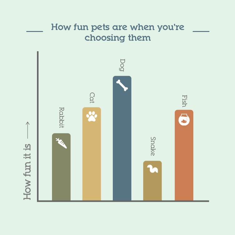 How fun pets are when you're choosing them