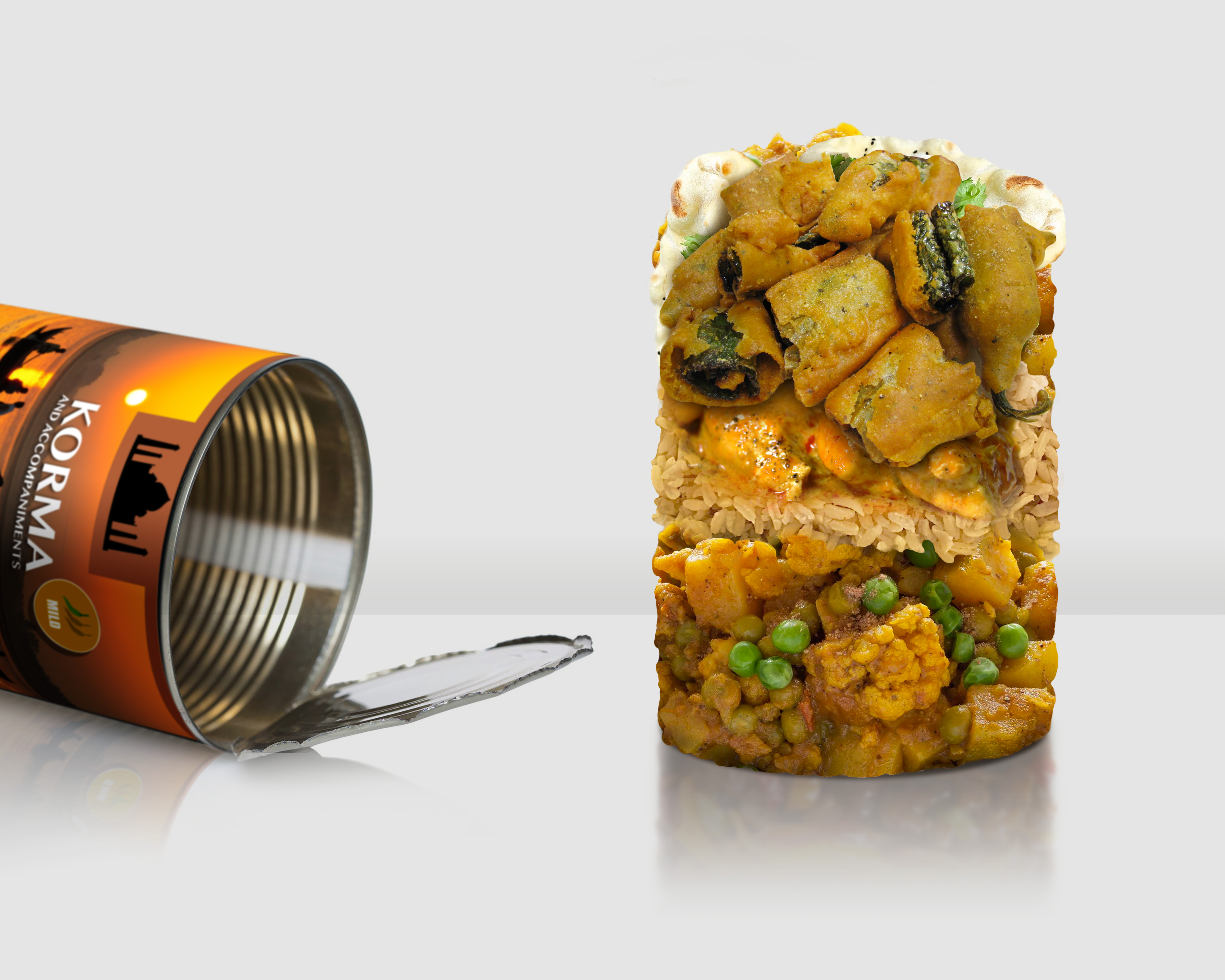 Tinned Indian Curry