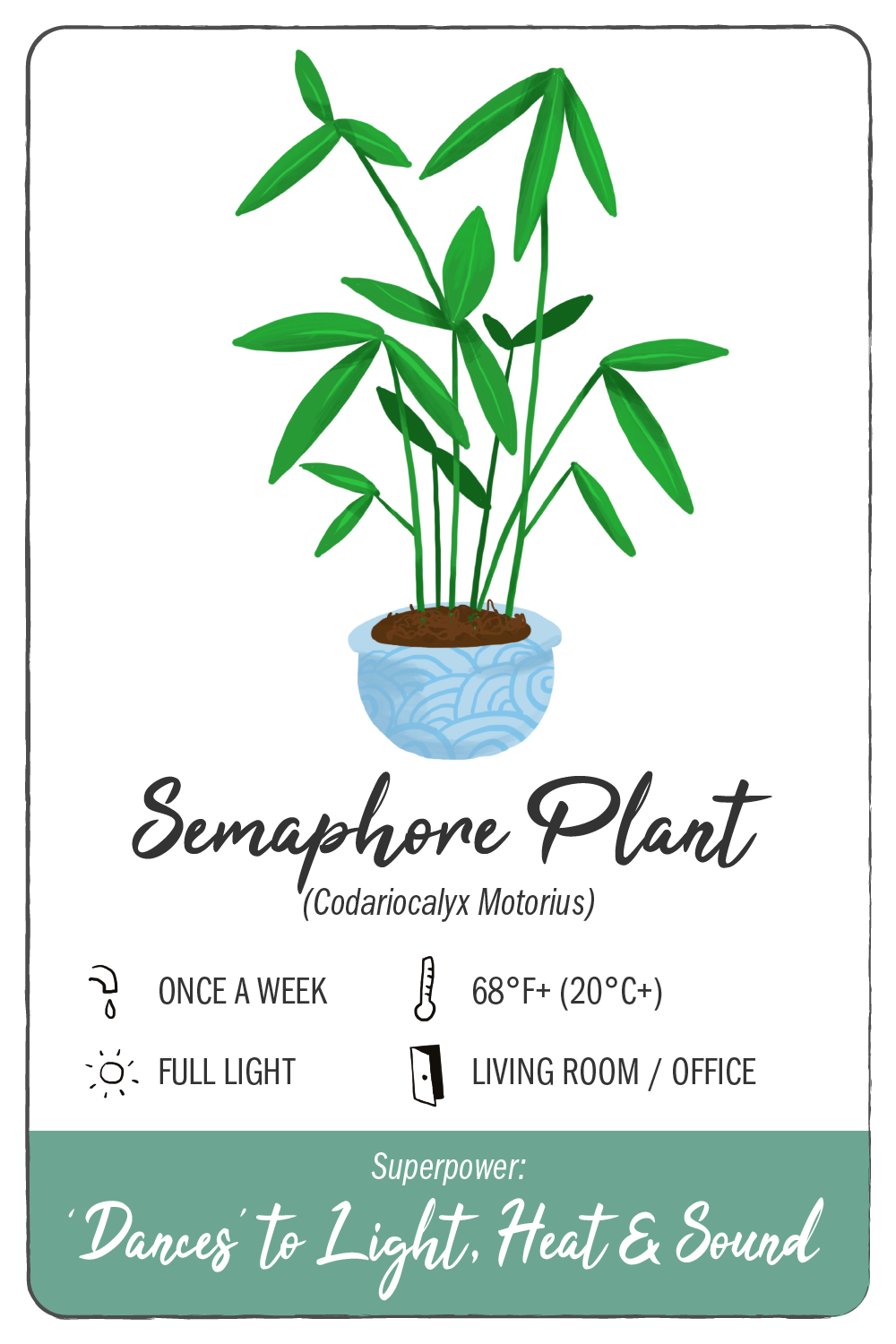 semaphore plant - climadoor