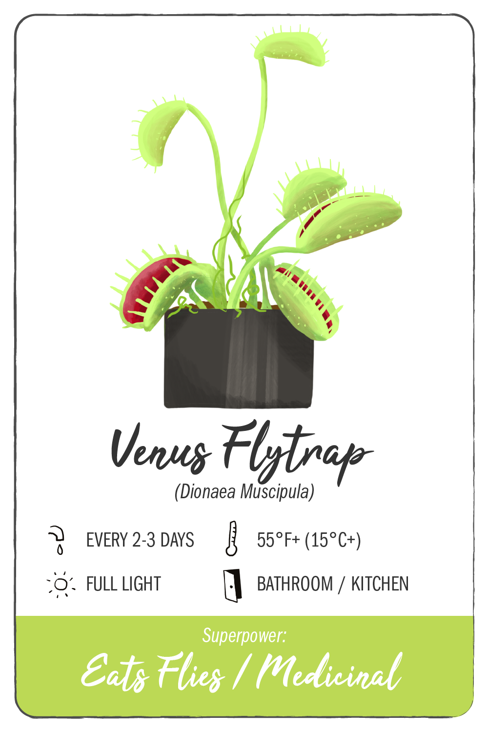 venus flytrap - climadoor