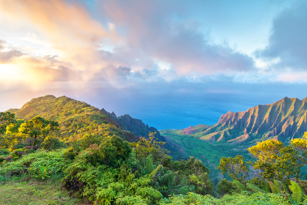 Kauai - Jurassic Park Filming Location - Climadoor
