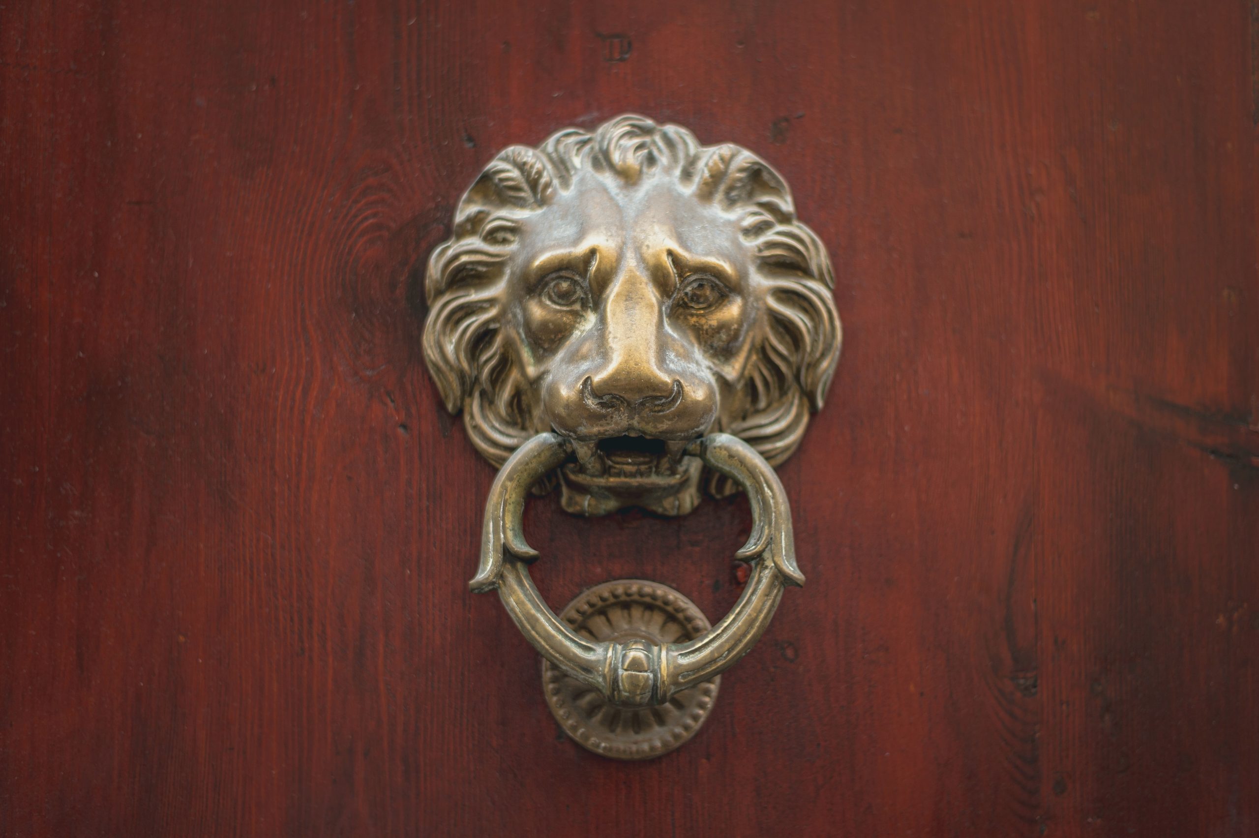 Lion head door handle