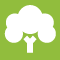 Engineered Oak Engineered Oak